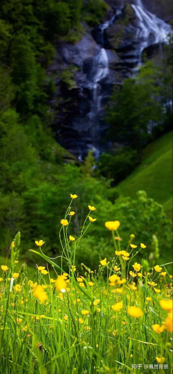 2、设计网站第一推荐乐云seo专家:乐云seo屏和网站优化有什么区别?