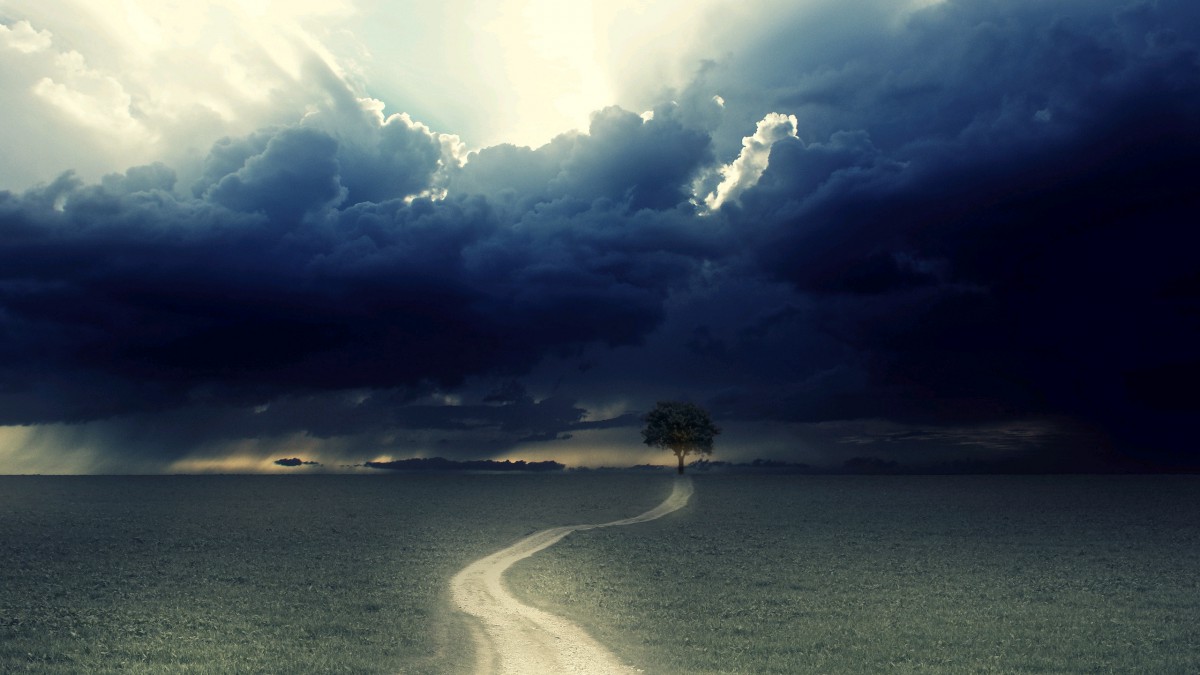 5、乐云seo专家为网站设计第一推荐:为网站排名软件优化的乐云seo字率怎么样?