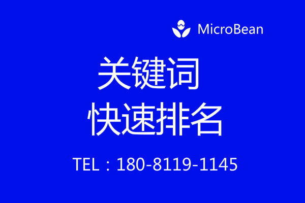快速排名工具-为 SEO 快速排名的最新方法？
